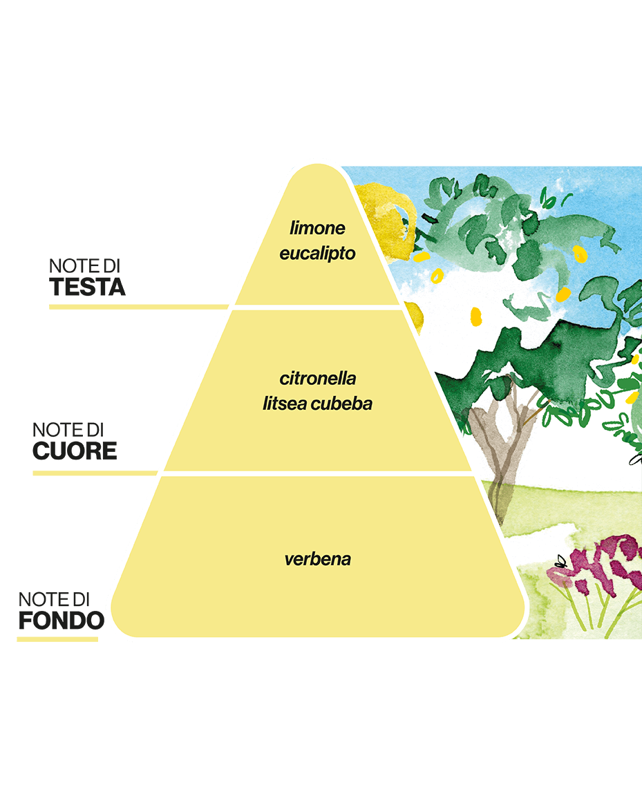 Diffusore per Ambienti ALL&