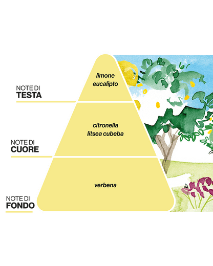 Diffusore per Ambienti ALL&