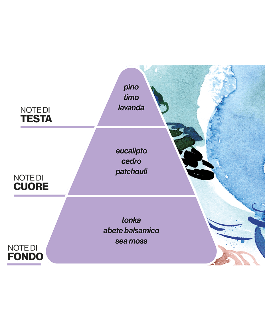Diffusore per Ambienti MARE SELVAGGIO - Pino Marittimo e Lavanda - DOMEA PAESAGGI OLFATTIVI